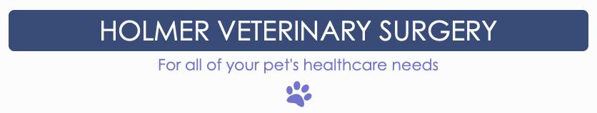 Full-time Veterinary Surgeon  Hereford, Herefordshire