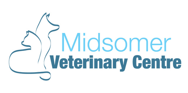 Small Animal Veterinary Surgeons  Midsomer Norton, North Somerset