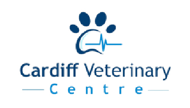  Full-time Veterinary Surgeon - Cardiff