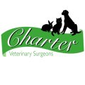 Veterinary Surgeon