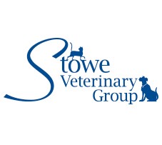 Equine Veterinary Surgeon, Suffolk