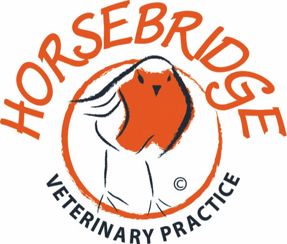 Registered Veterinary Nurse – Horsebridge, East Sussex