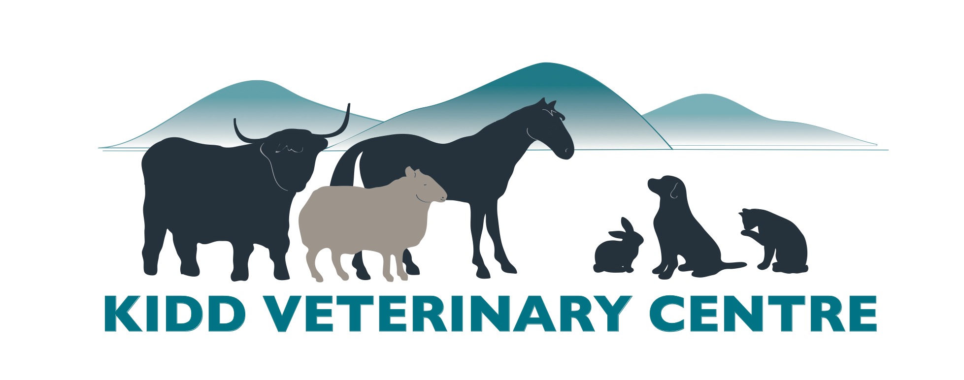 Mixed or Small Animal Veterinary Surgeon (Full or Part-time) - Angus