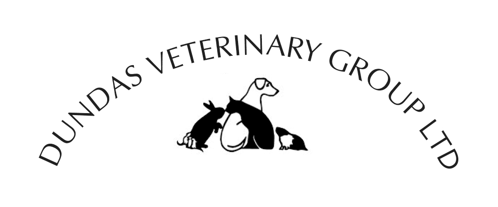 Veterinary Surgeon (Maternity Cover) � Edinburgh
