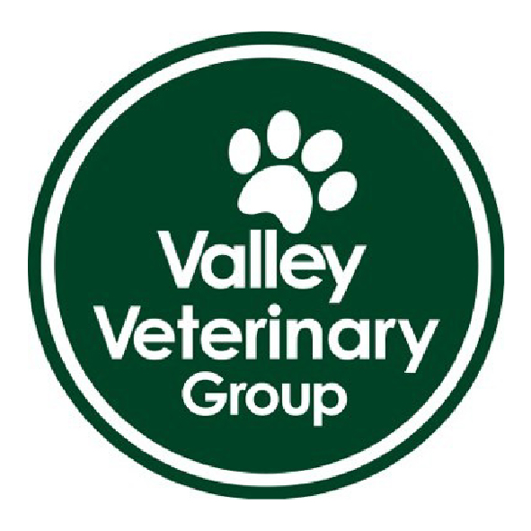 Full-time Veterinary Nurse � West Berkshire