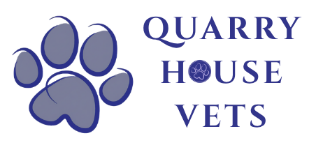 Registered Veterinary Nurse & Clinical Supervisor Torquay (Newton Abbot & Teignmouth)