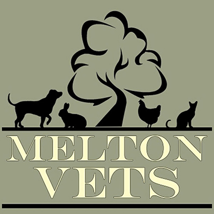 Lead Veterinary Surgeon/Small Animal Veterinary Surgeon - Melton Mowbray