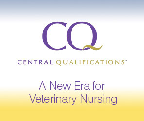 CQ Advert