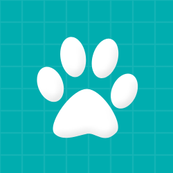 Experienced Small Animal Vet Wanted - South Kent