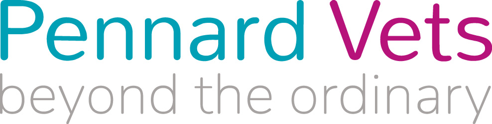 Registered Veterinary Nurse  Maidstone, Kent 